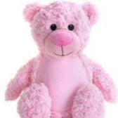 Tummie Beer Roze 42 cm gepersonaliseerd met naam geborduurd – zacht knuffel cadeau voor geboorte of verjaardag